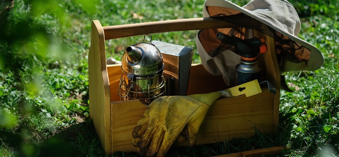 Racleurs de ruches en acier inoxydable, matériel d'apiculture